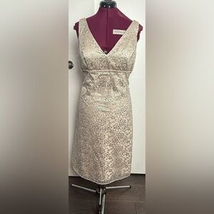 Elegant Cream Lace Dress